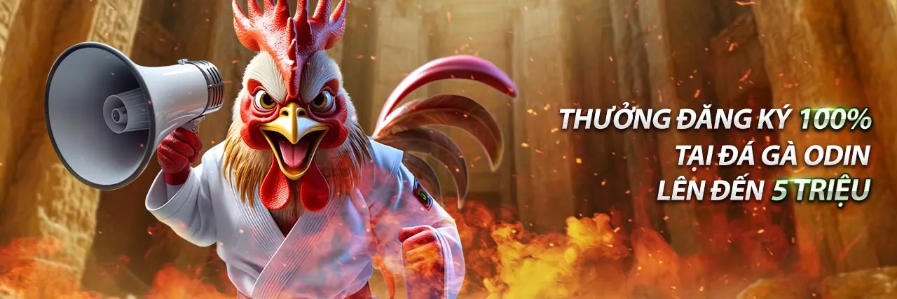 Hoạt động lễ hội m.bcx88